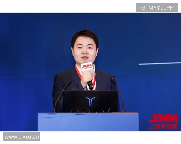 杨秀英畅谈王者荣耀发展历程与未来展望的深度专访