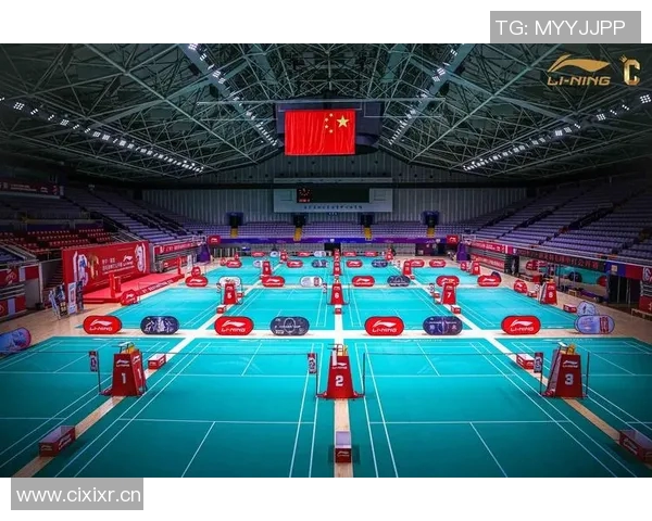 羽毛球的拼搏之路：杭州羽毛球队奋斗历程全景纪实